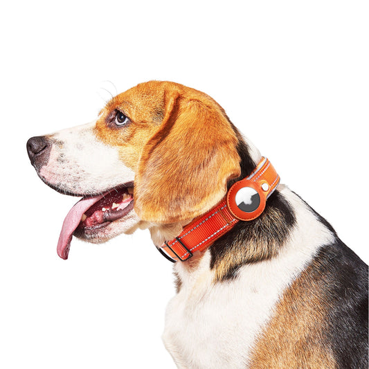 Pet Airtag Collar - Styleful Home
